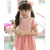 GI0123 เดรสเด็กผู้หญิง แขนสั้น คอตั้ง ระบายรอบอก แต่งกระดุม 3 เม็ดสีชมพู